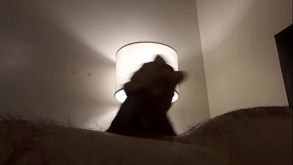 Download Video - Jalandomela y termino