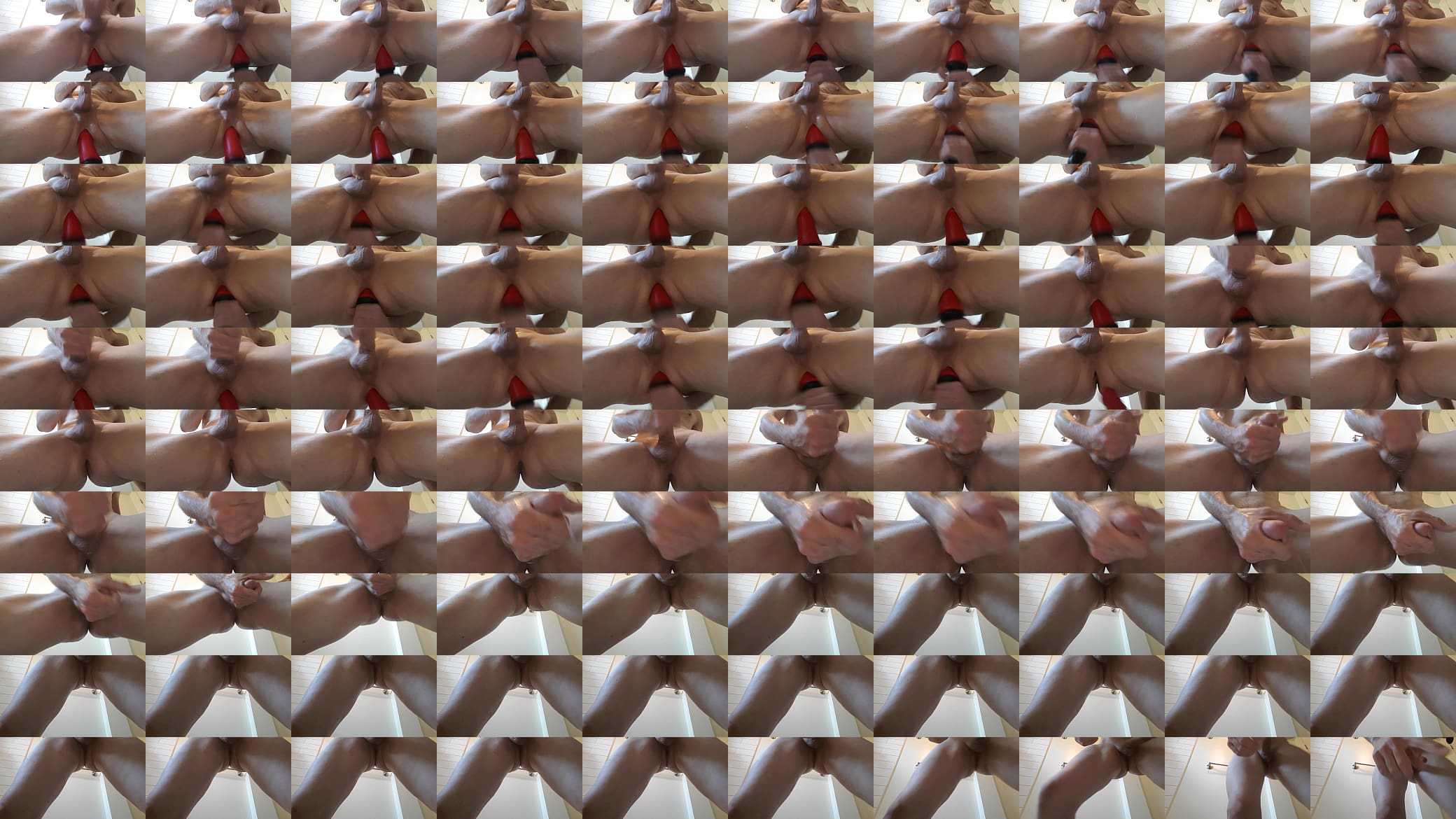 Exhibit Anal 预览图