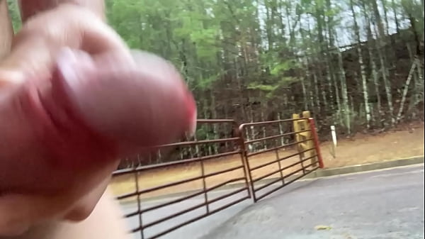 Download Video - Clitlicker662 - update &num;32 - IMG 1340 - Feb 16&comma; 2025