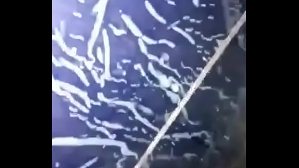 Mostafa thick egyptian dick