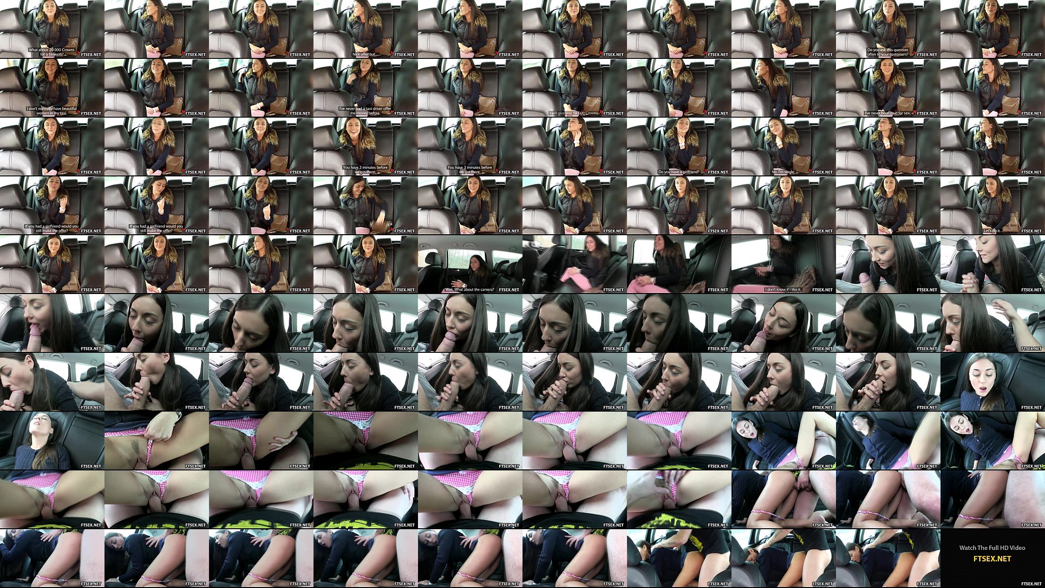 Brunette teen gives blowjob for money 预览图