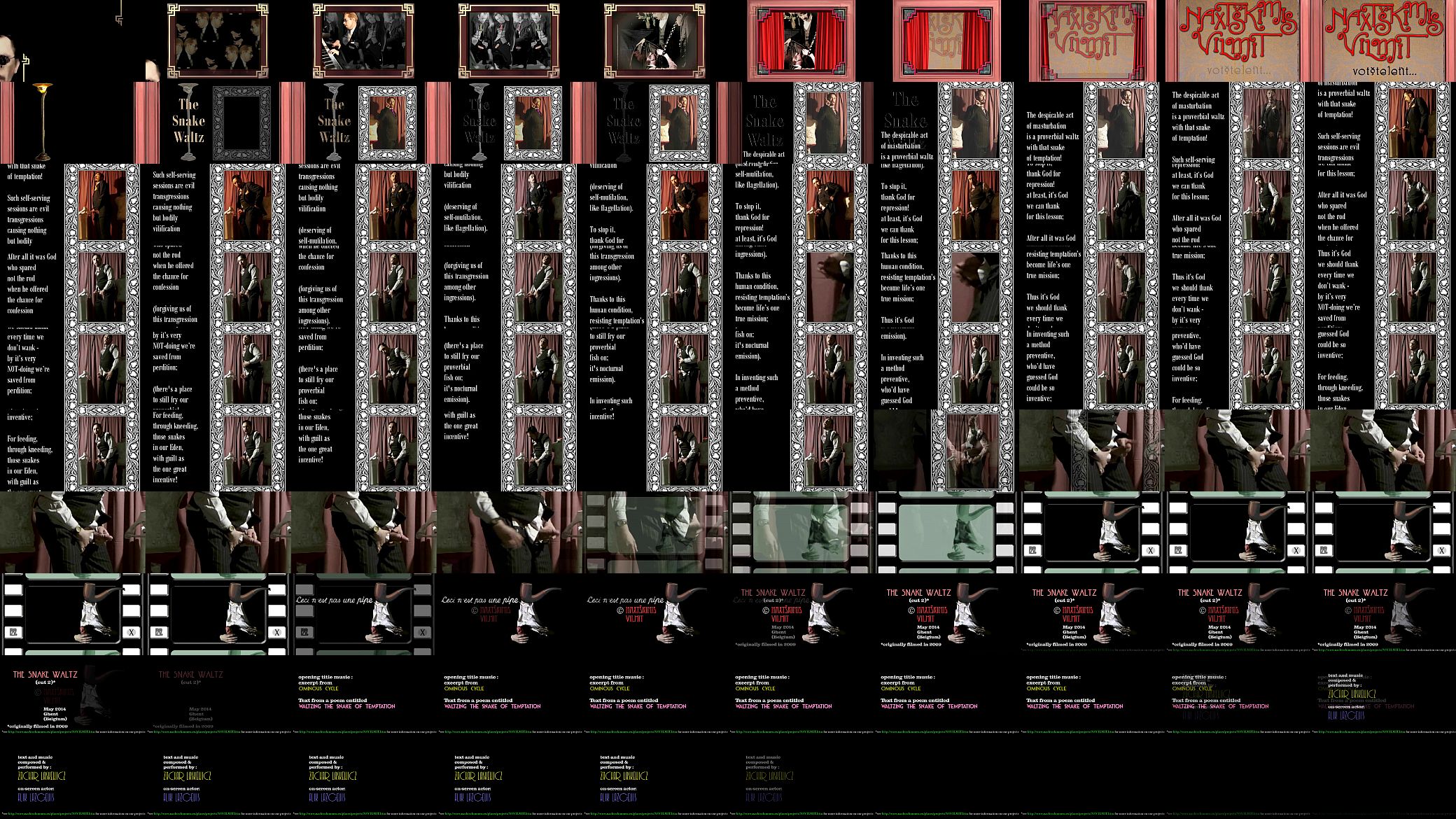 THE SNAKE WALTZ (2014) 预览图