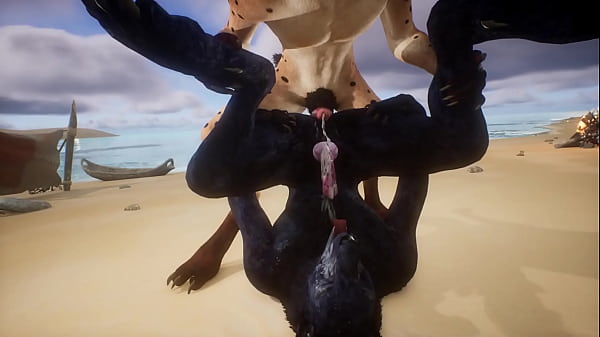 Wolf Lässt Hyäne In Sein Maul Spritzen - Tierwelt