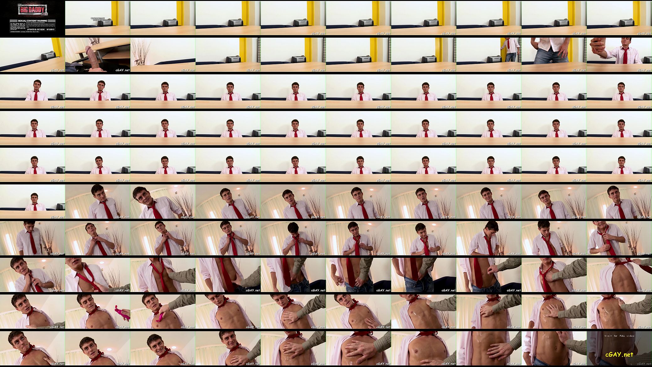 Top homosexual porn sites 预览图
