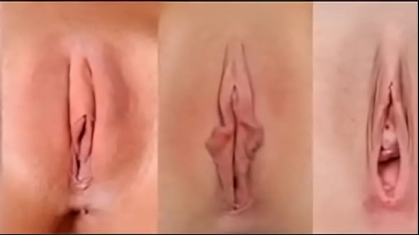 Several pussy cute