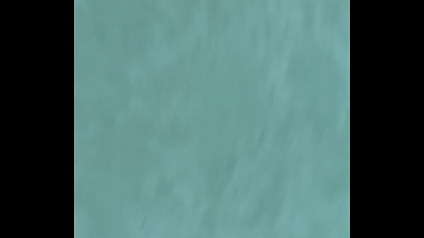 Video x&aacute;c minh