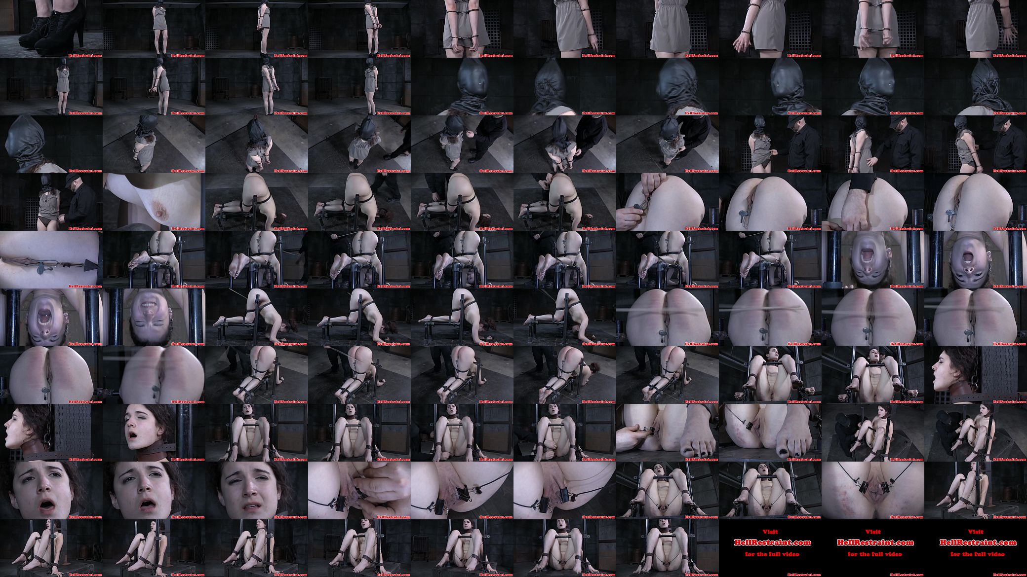 Collared pussyclamped while restrained 预览图