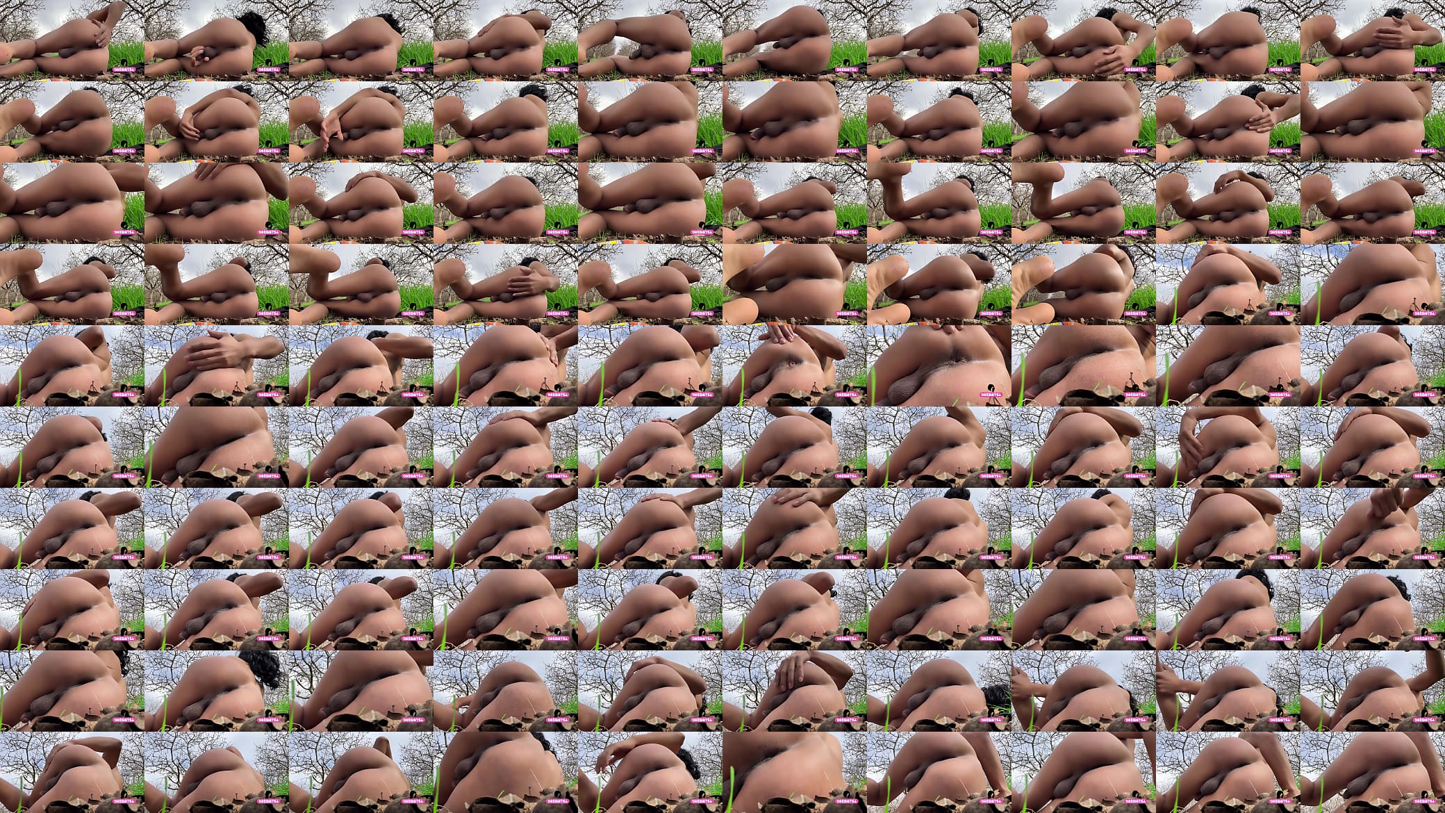 Quiero que un chico me folle por el culo mientras estoy desnuda en el bosque. 预览图