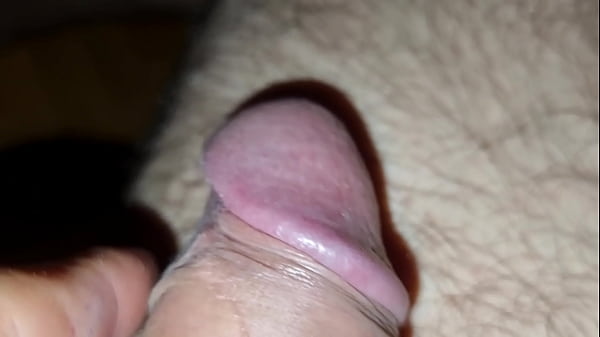 Download Video - Pau duro e peludo s&oacute; pra voc&ecirc;s