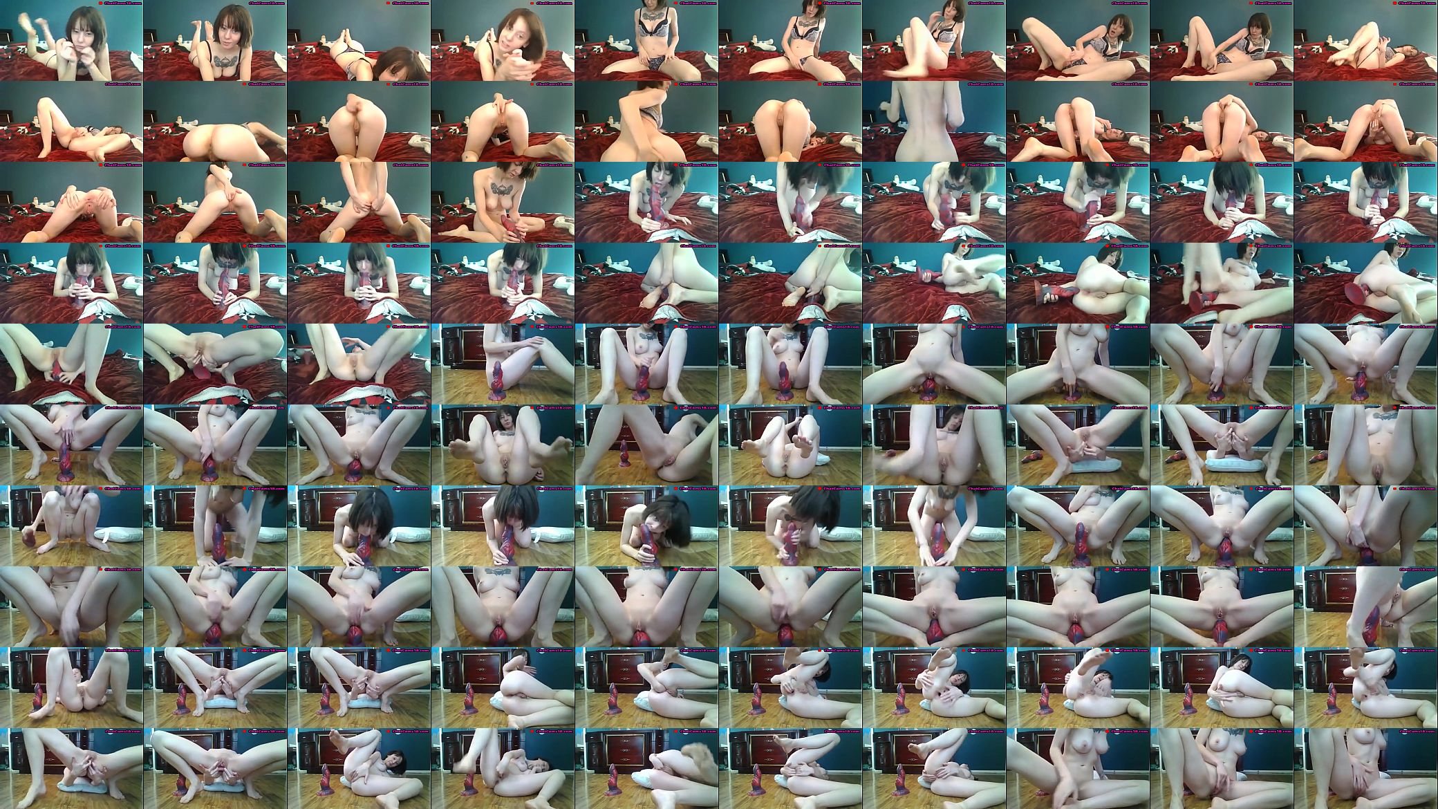 webcam bad dragon dildo anal 预览图