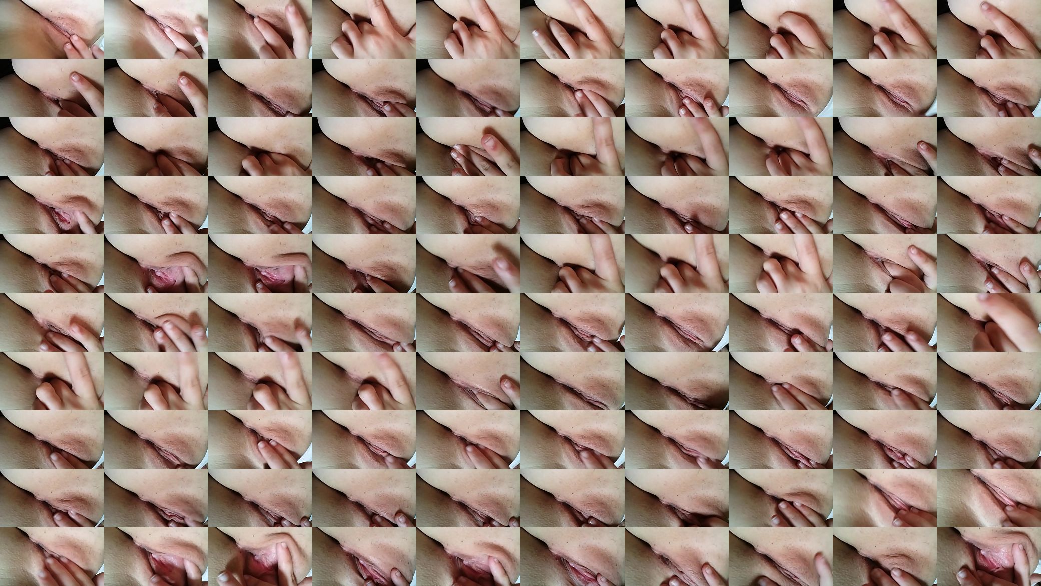 vinger 预览图