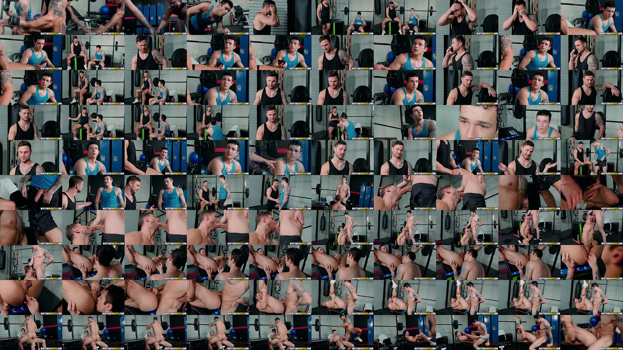 Gay sex in the gym 预览图