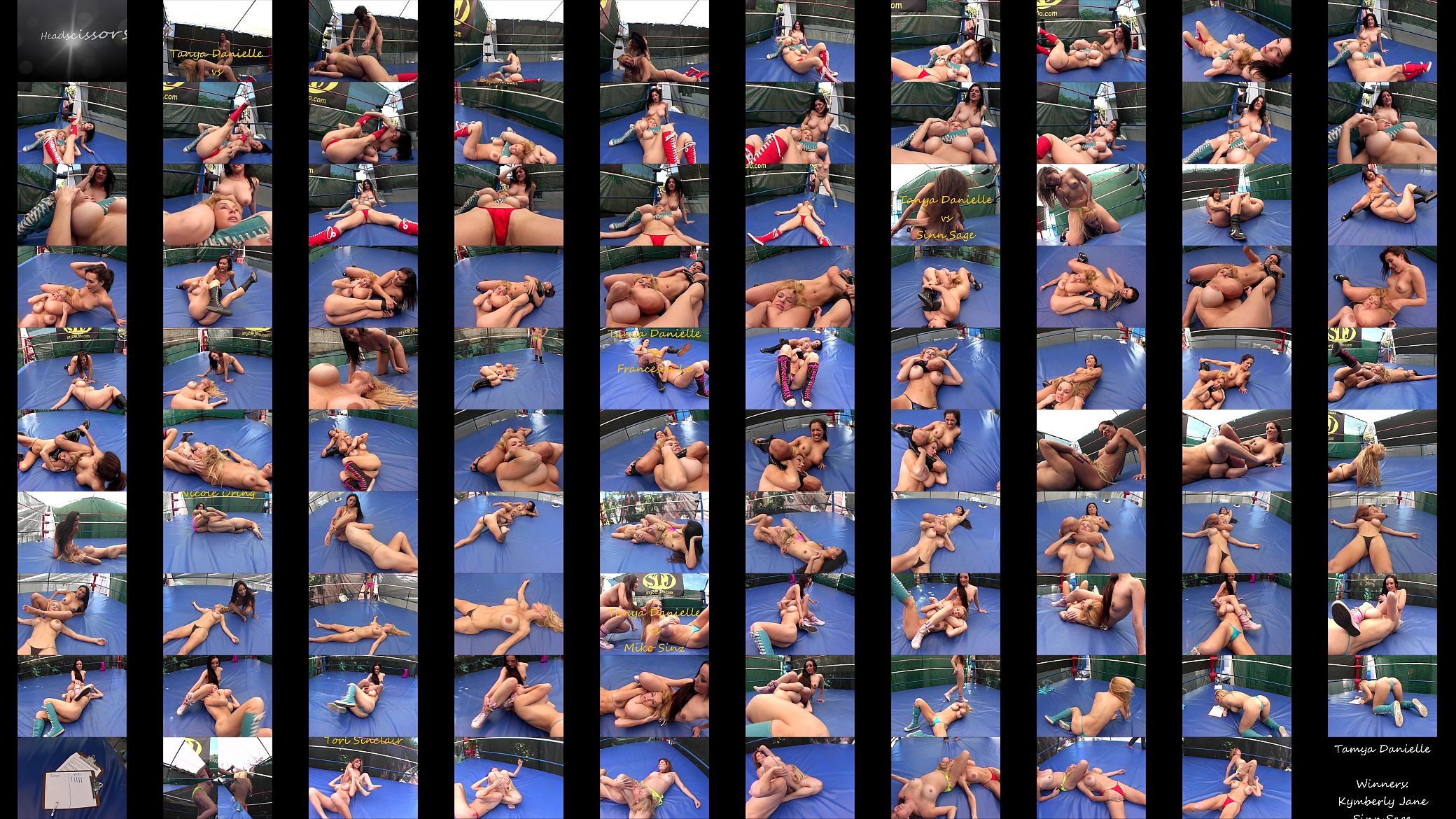 Headscissors 预览图