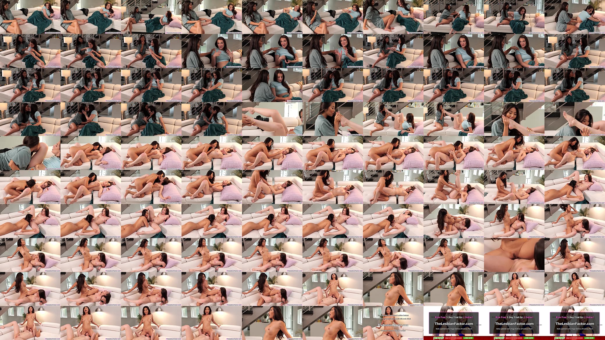 Brunette babe scissoring with big tits lesbian room mate 预览图