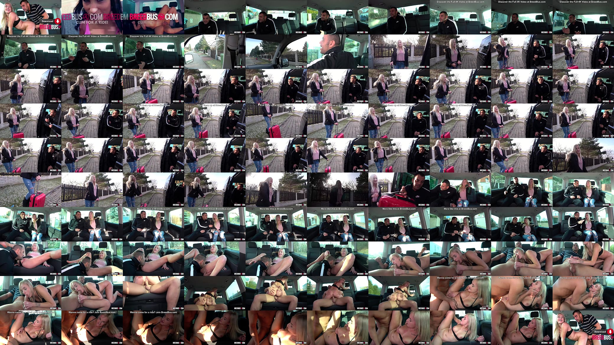 Daisy Lee picked up and fucked in the BreedBus 预览图