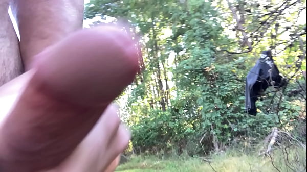 Download Video - Clitlicker662 - update &num;12 - IMG 1222 - Oct 12&comma; 2024