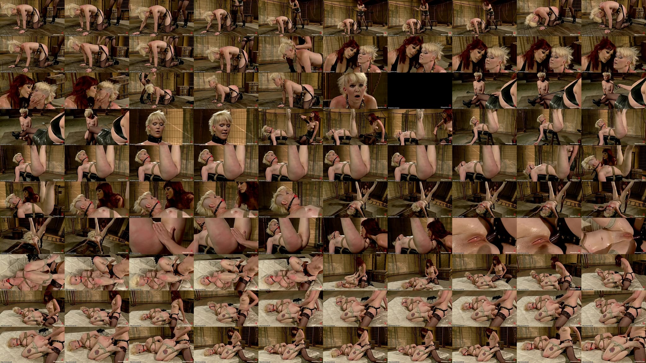 Ginger MILF flogs and anal fucks blond 预览图