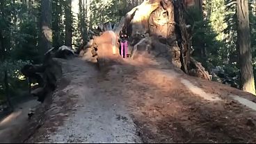 Fucking in the Sequoias Trail of the Giants