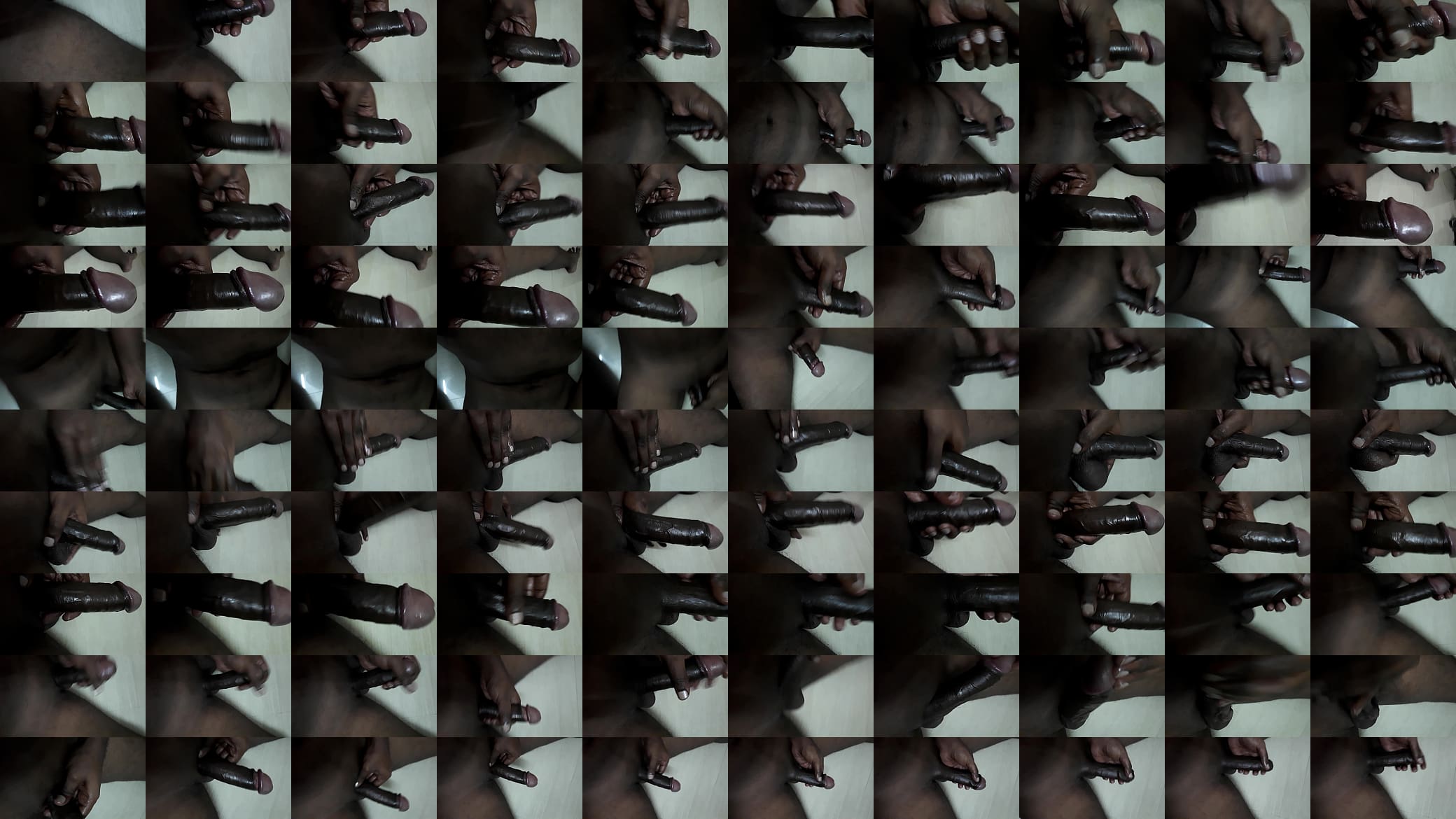 Indian bull cock solo 预览图