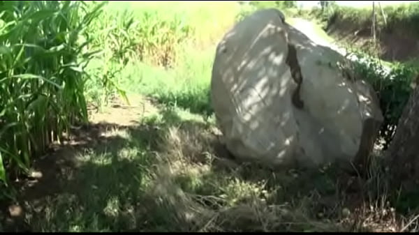 suck anonymous guy in my car