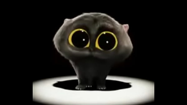 gato boludo cantando pra novinha safada