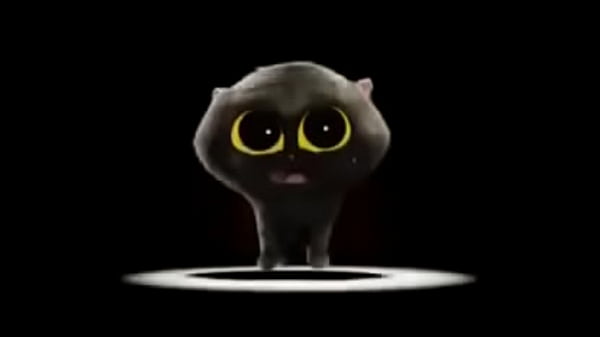 Gato boludo cantando pra novinha safada