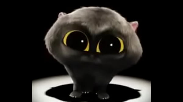  Gato Boludo Cantando Pra Novinha Safada