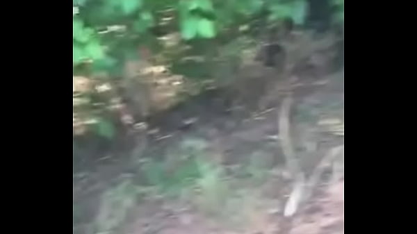 Blague Et Jouir Sur La Route Du Site Et Le Champ De Canne
