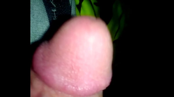 MyDick