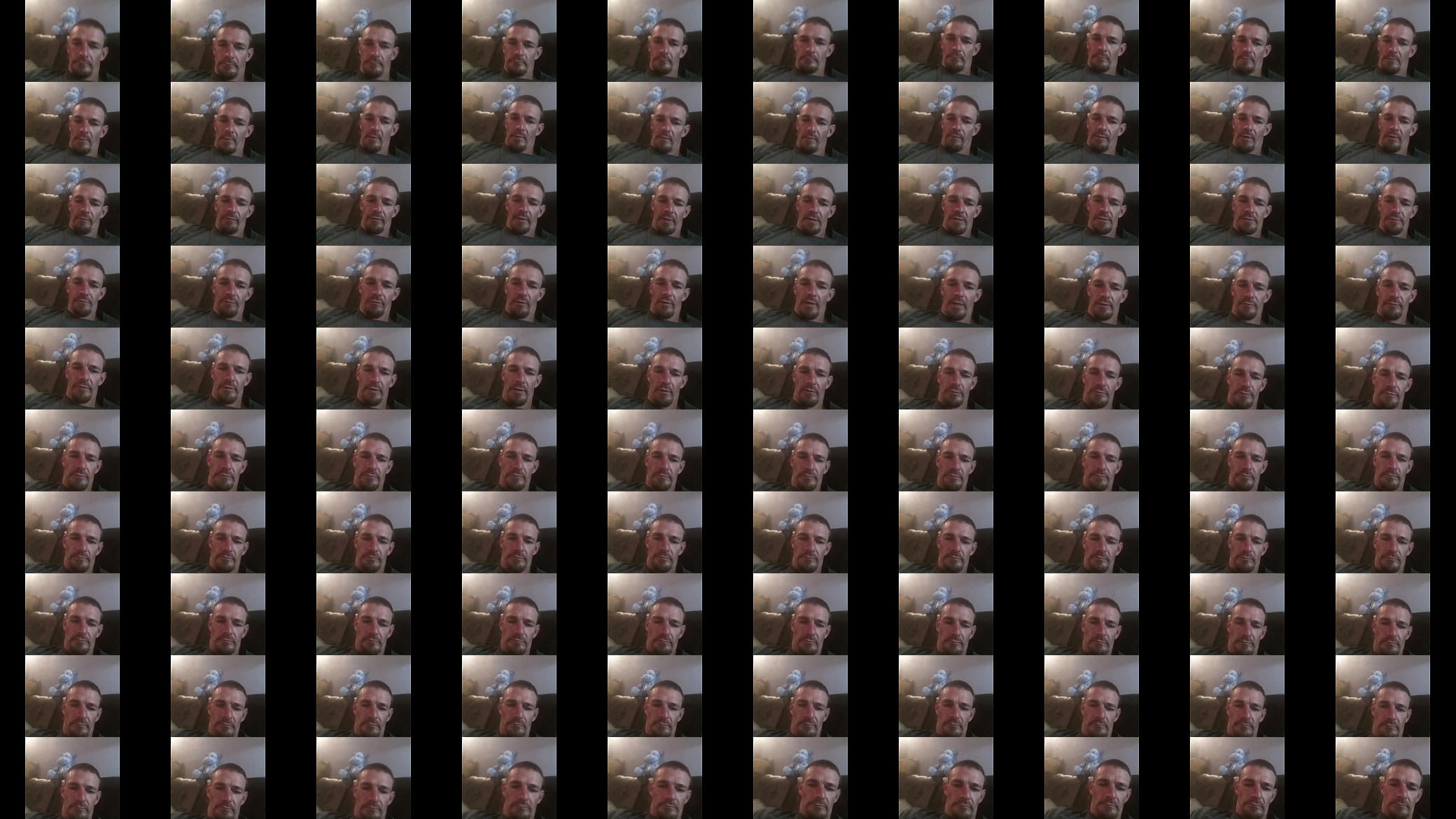 Verification video 预览图