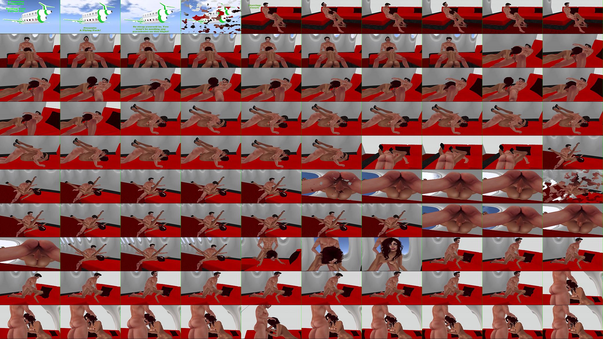 A Flying Fuck 预览图