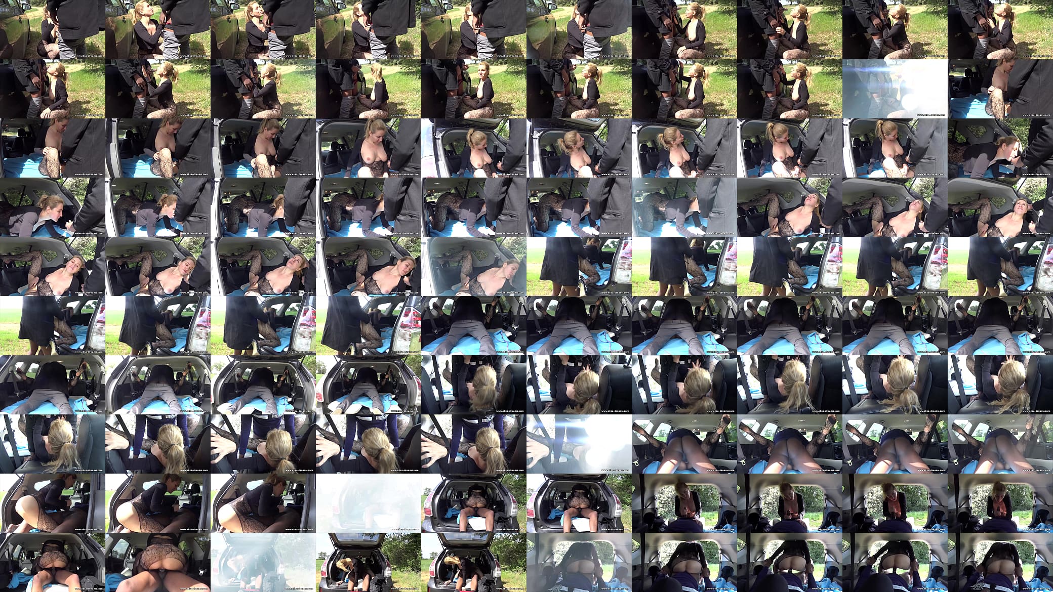 Hotwife gets fucked outdoors by a BBC 预览图