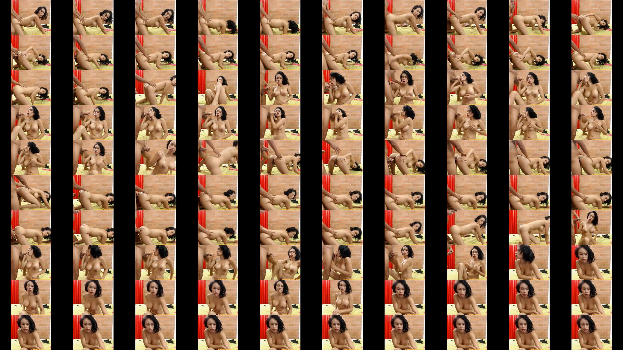 camtomycam (4) 预览图