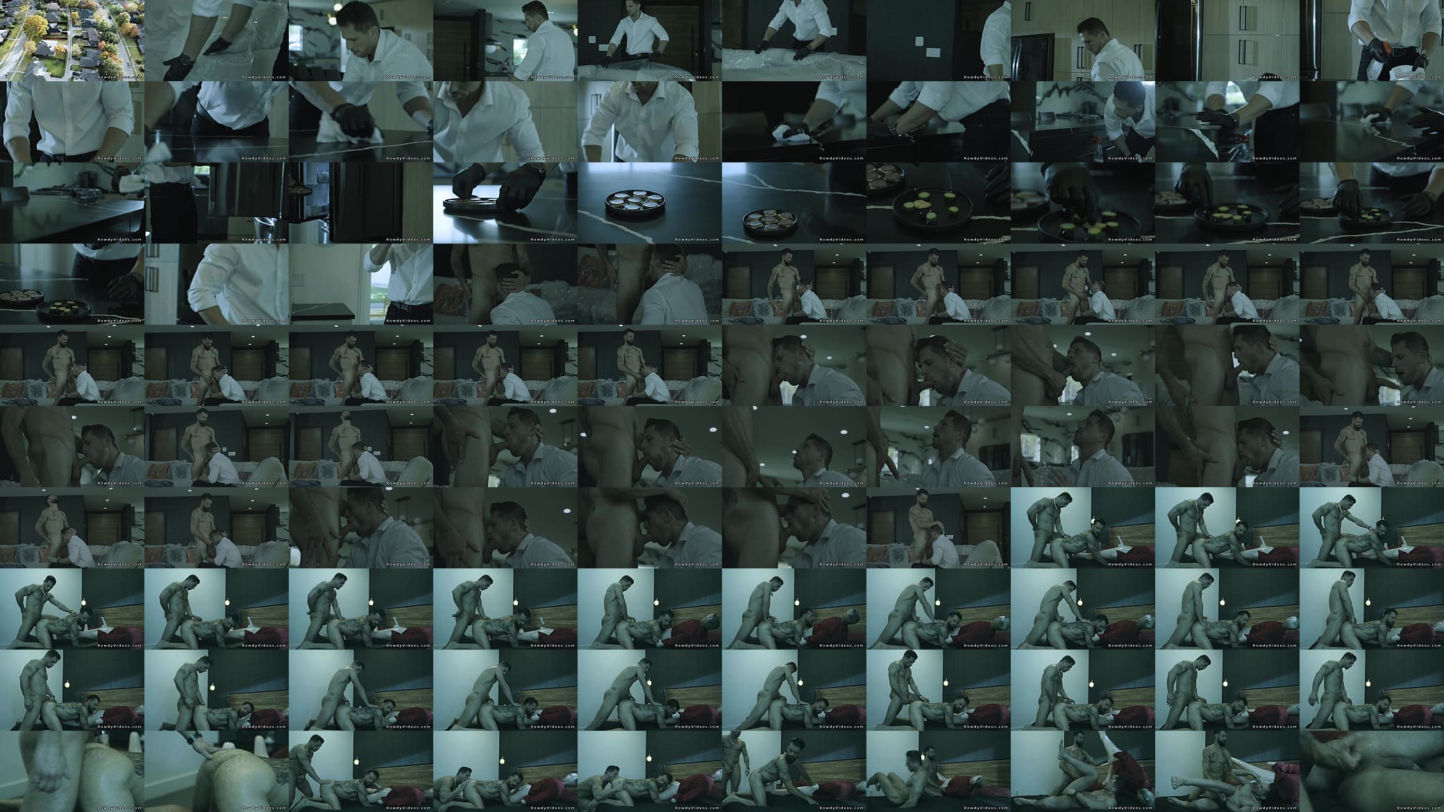 Roman Todd anal fucks unhomed man in his luxurious house 预览图