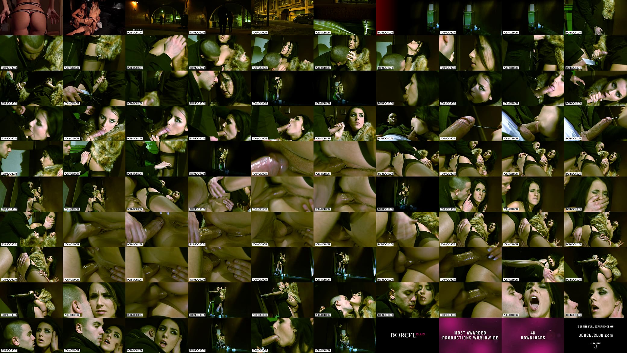Anal quicky in the streets of Paris 预览图