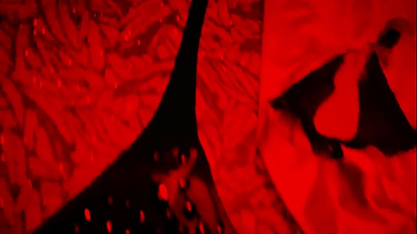 BLACK FRIDAY MILK SPECIAL!