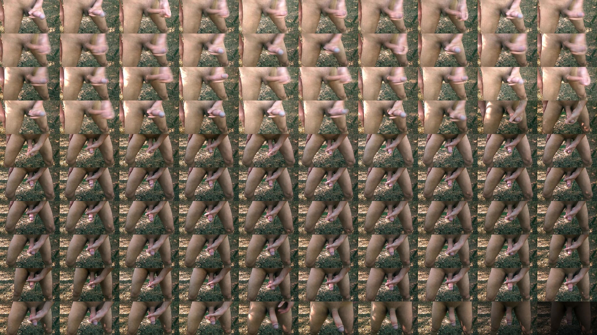 Quick milking of cock 预览图