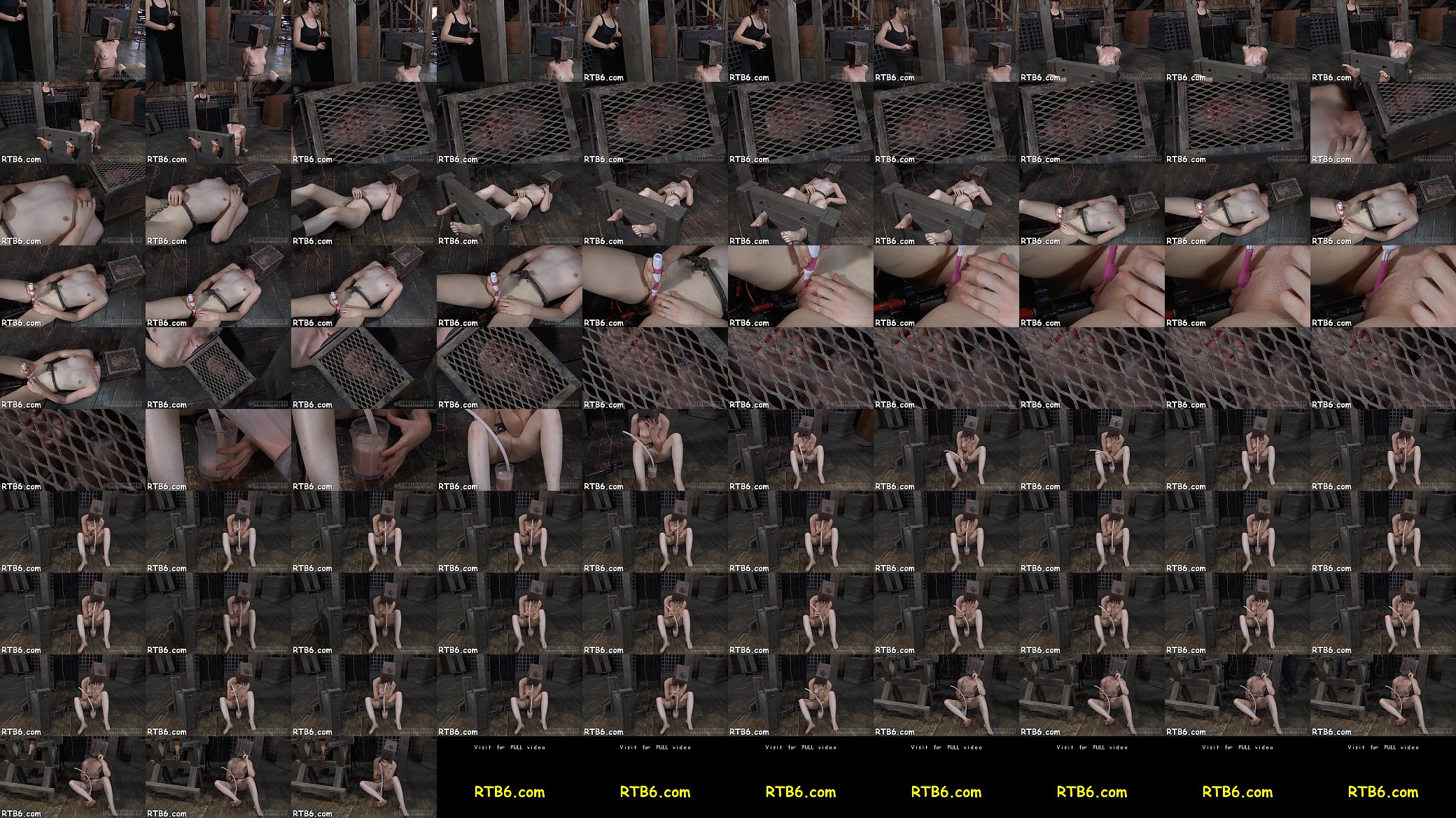 Alluring slaves are made to undress inside a diminutive cage 预览图