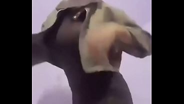 Malay hijabi slut with massive tits fingering her wet cunt till she squirts