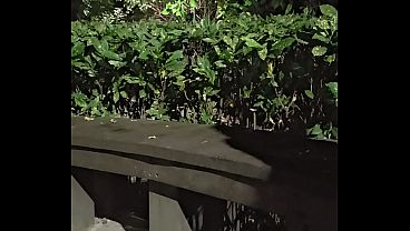 Shemale Ting Xuan outdoor amazing anal