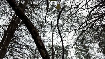 Clitlicker662 - update #61 - IMG 1577 - Mar 13, 2026