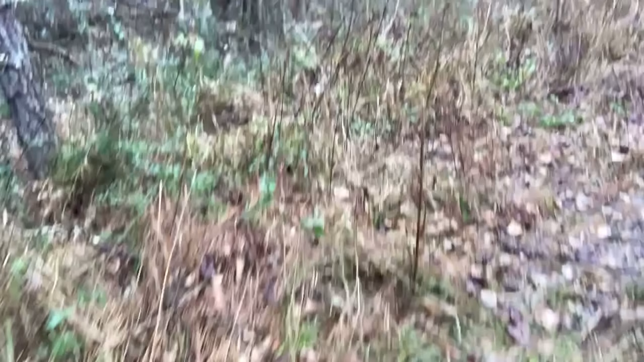 Clitlicker662 - update #61 - IMG 1577 - Mar 13, 2026