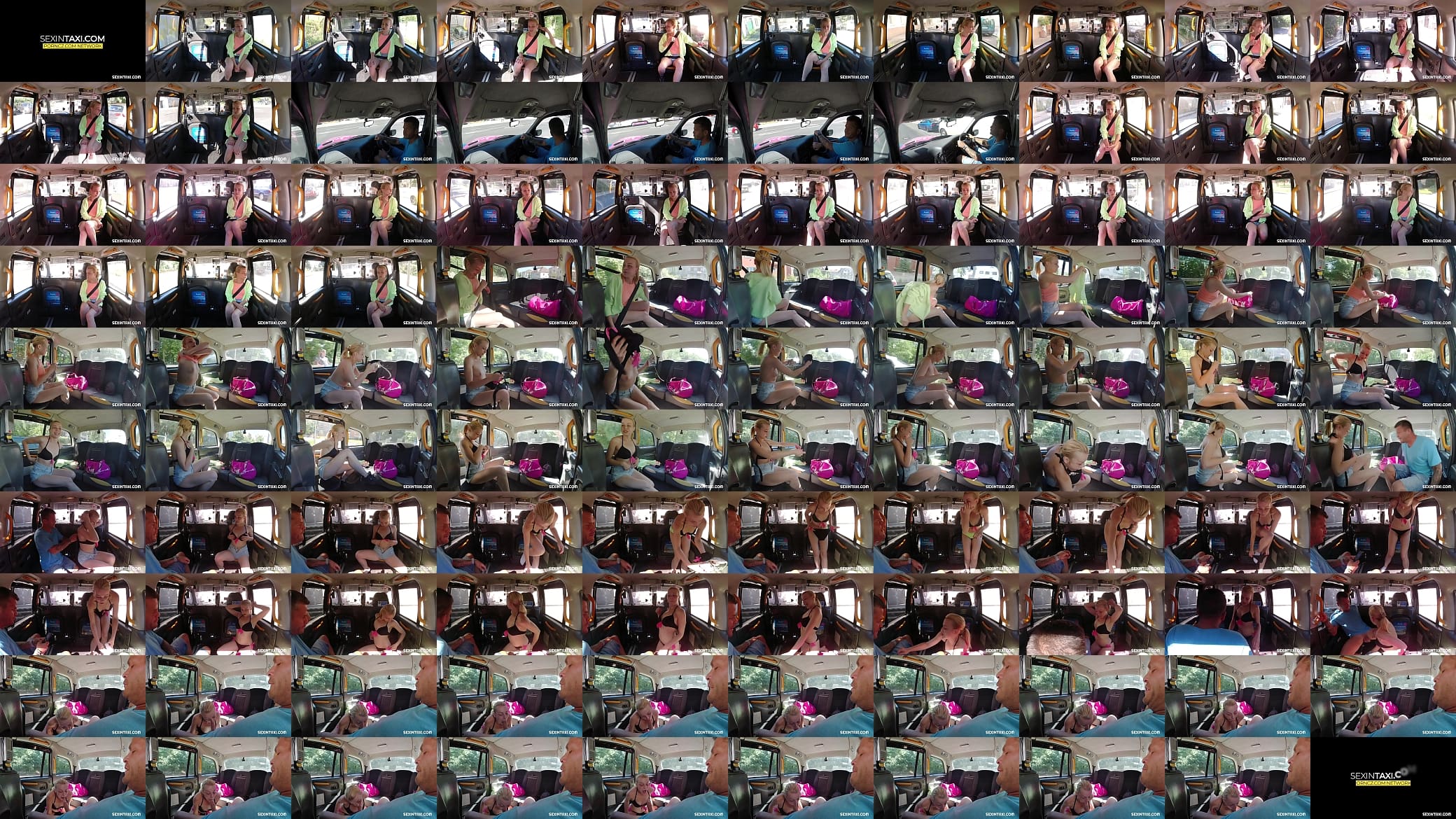 Horny driver helps to choose a swimsuit 预览图