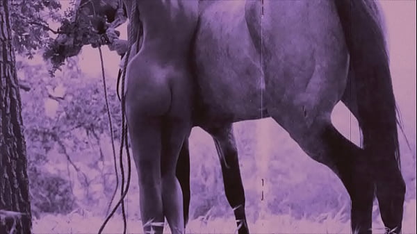 Download Video - Dark Lantern Entertainment presents 'Beauty And The Beast'