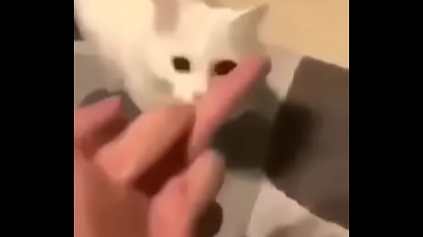 it's not porn xddddddd