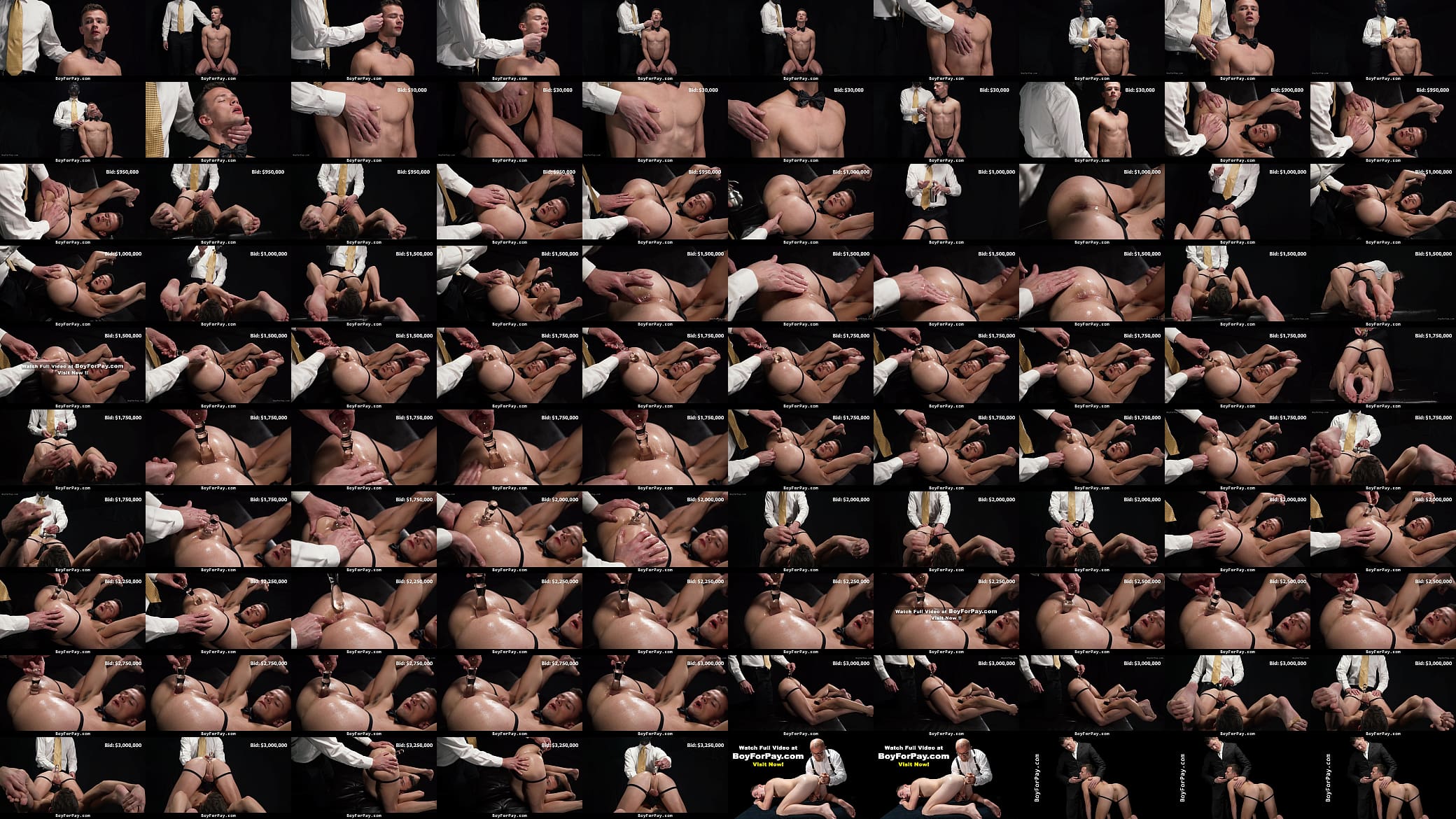 Giving Patrons a Glimpse of What They&rsquo;ll Have the Opportunity to Breed and Train - Boyforpay 预览图
