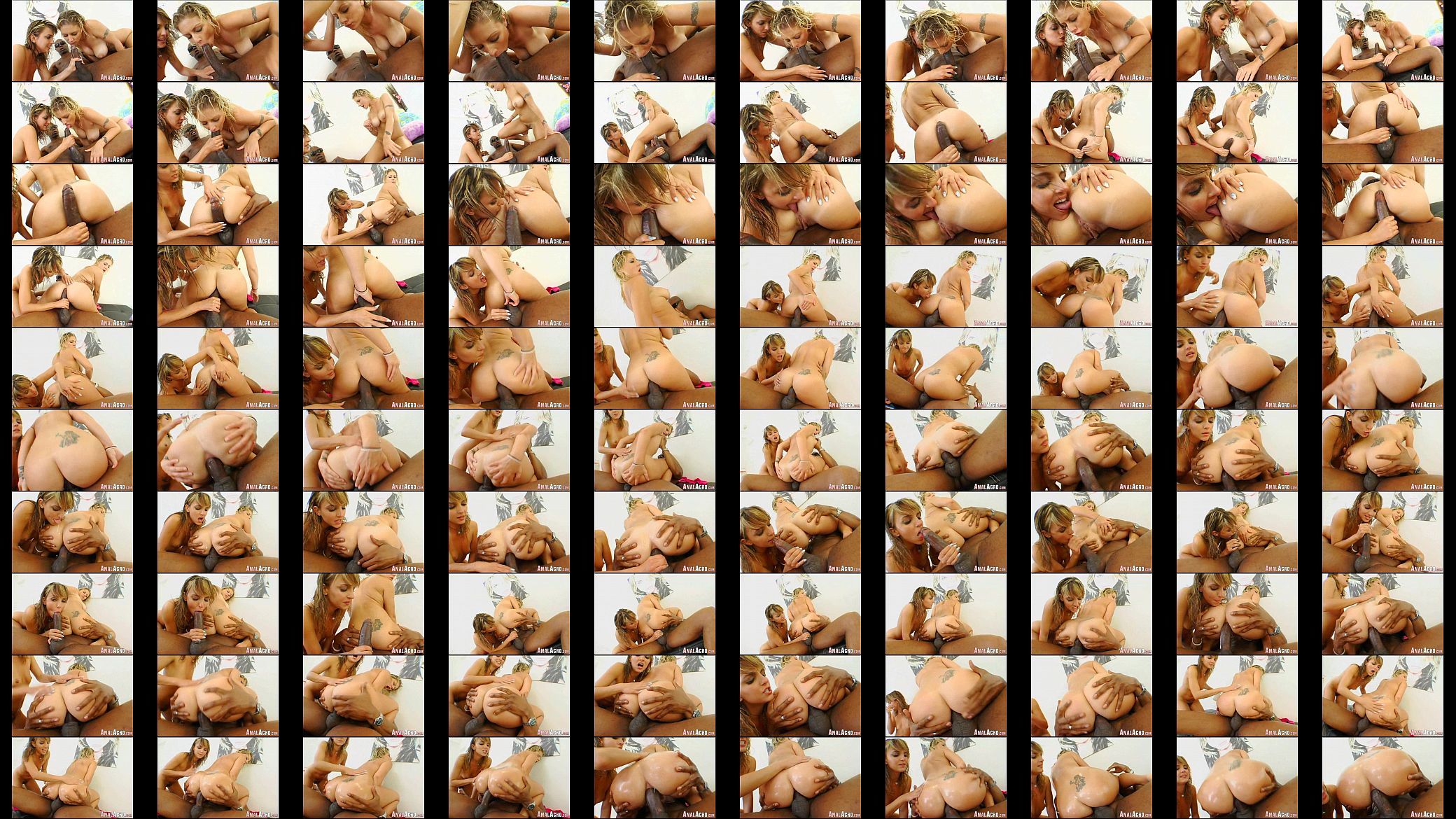 Anal Acrobats 410 预览图