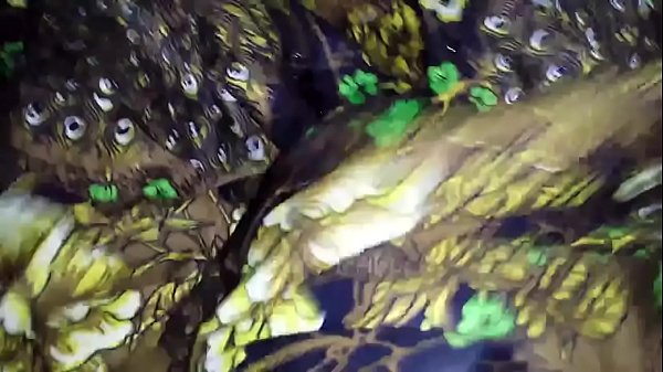 Pisse Et Sperme Sur Sexy Tante Est Un Autre Lungi Dans Les Toilettes.