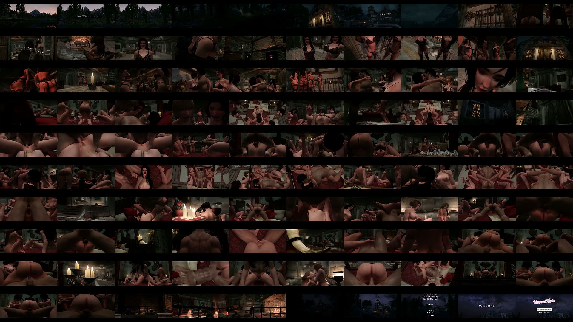 Skyrim Wives Harem 预览图