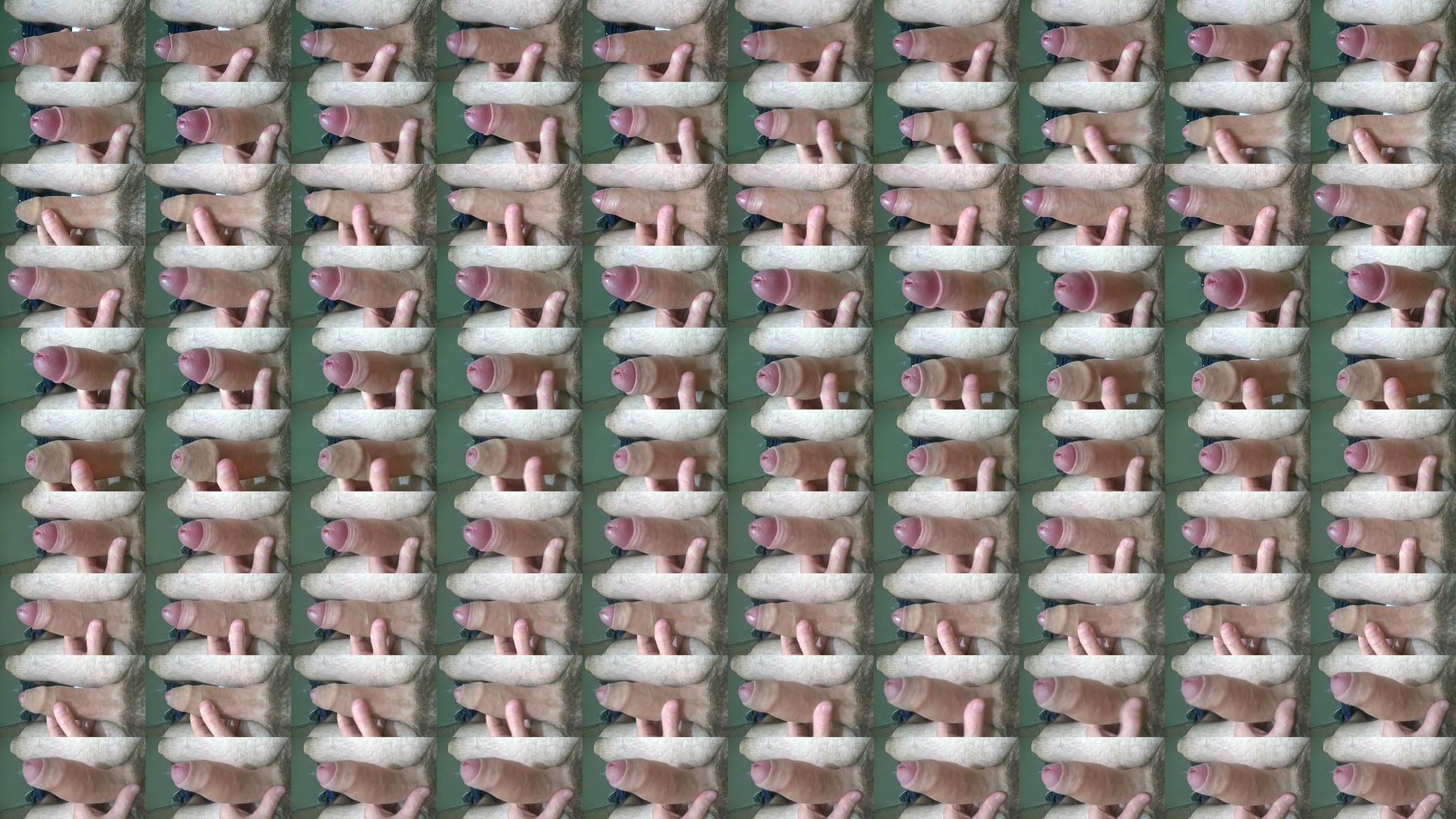 mi verga 预览图